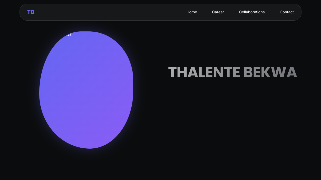 Luxurious responsive portfolio website